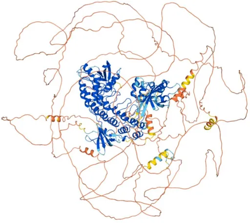 从 AlphaFold 3 预测的一个示例。在中心是蓝色紧密卷曲的螺旋结构，形状类似于螺旋面。周围是橙色松散交织的链，形状类似于意大利面。